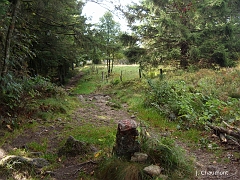 En allant vers le parking du sommet, limite communale en bordure de la Forêt Domaniale de Saint-Antoine